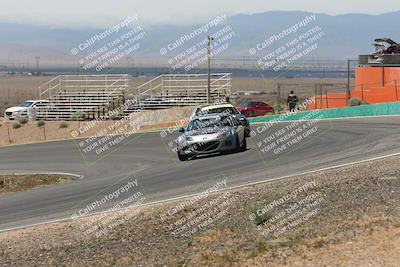 media/May-03-2025-Lucky Dog Racing (Sat) [[206de64b9d]]/Turn 4 B (1150am-130pm)/